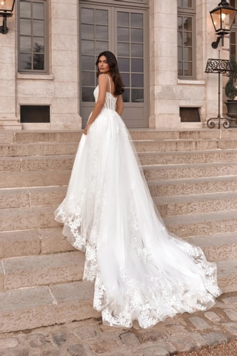 Irides Pollardi #1 default backface vertical thumbnail