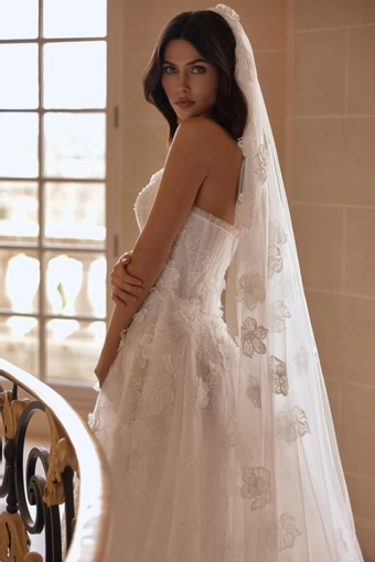 Nysa Pollardi #2 backface vertical cropped thumbnail