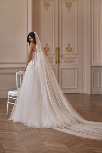 Vera Pollardi #1 default backface vertical thumbnail