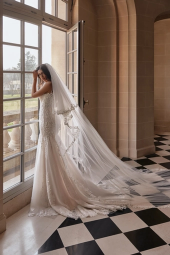 Solaris Pollardi #1 vertical thumbnail