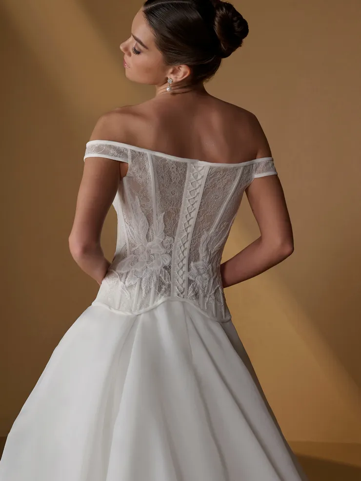 Christina Wu Brides Style #15965 #5 backface vertical cropped picture