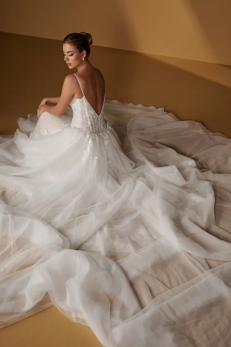 Christina Wu Brides Style #15973 #1 backface vertical picture