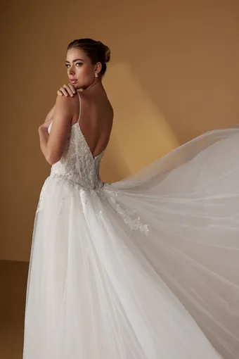 Christina Wu Brides #4 backface vertical cropped thumbnail