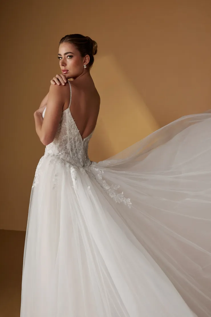 Christina Wu Brides Style #15973 #5 backface vertical cropped picture