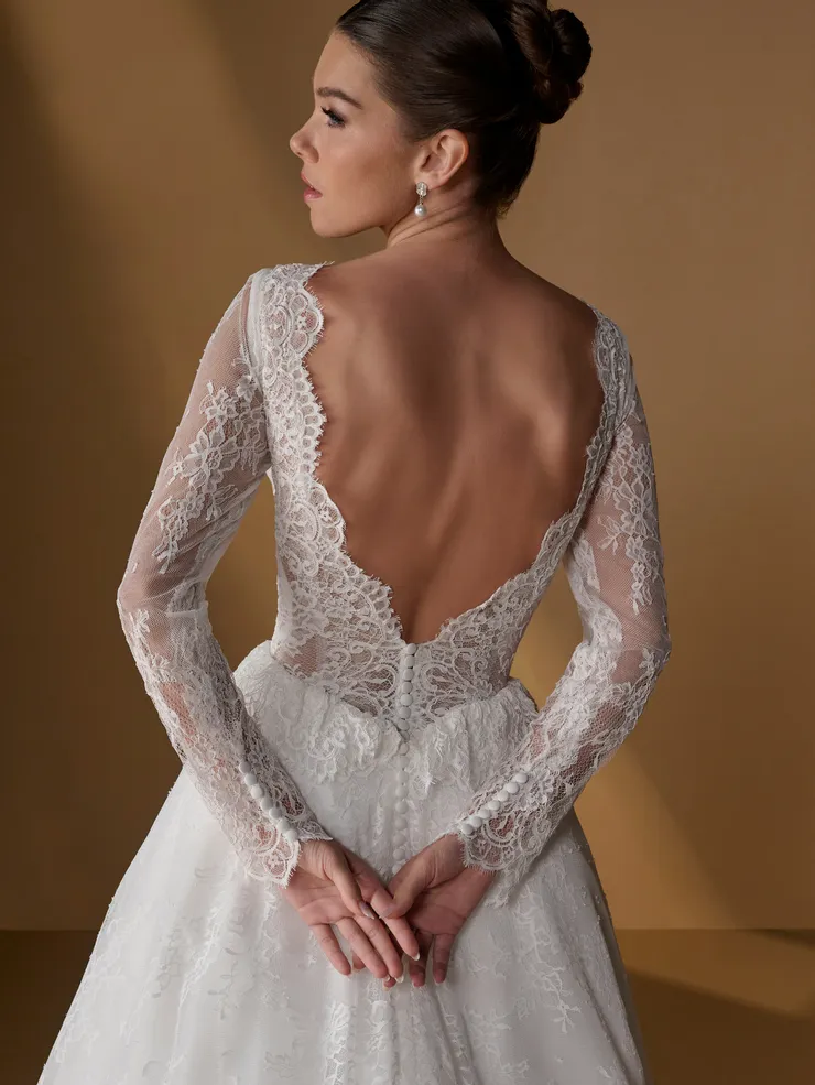 Christina Wu Brides Style #15976 #4 backface vertical cropped picture
