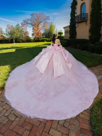 Quince 26140 #4 backface vertical thumbnail