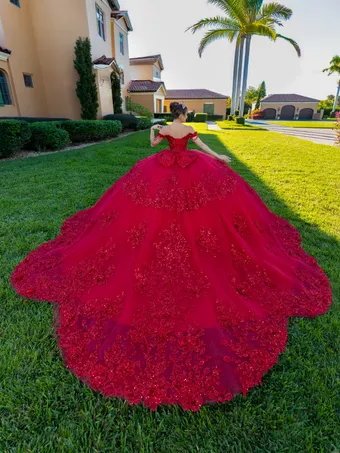 Quince 26142 #5 backface vertical thumbnail