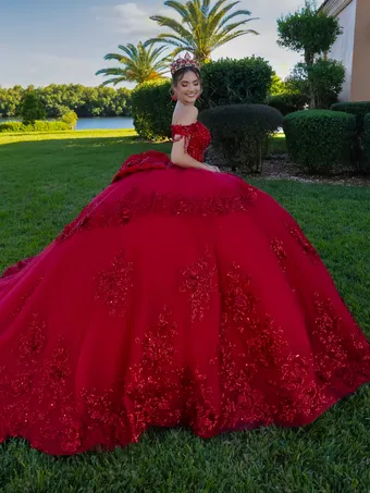 Quince 26142 #4 backface vertical thumbnail