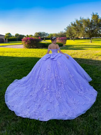 Quinceanera Collection by House of Wu 26143 #3 default backface vertical thumbnail
