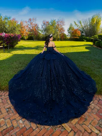 Quinceanera Collection by House of Wu 26143 #2 backface vertical thumbnail