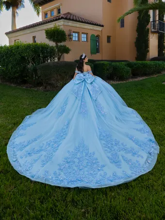 Quinceanera Collection by House of Wu 26144 #2 backface vertical thumbnail
