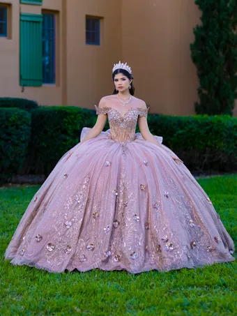 Quinceanera Collection by House of Wu 26145 #0 default frontface vertical thumbnail