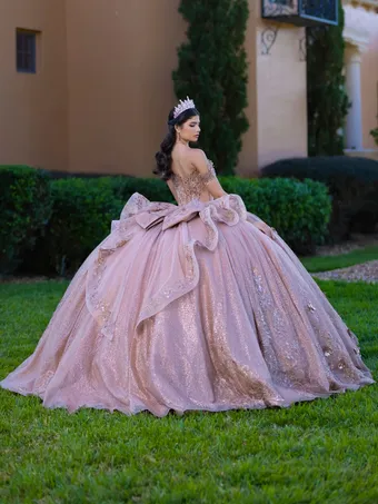 Quinceanera Collection by House of Wu 26145 #5 default backface vertical thumbnail