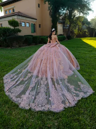Quinceanera Collection by House of Wu 26145 #4 backface vertical thumbnail