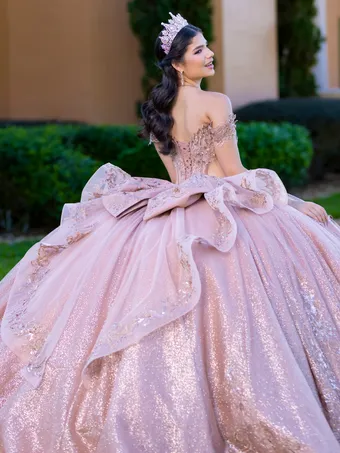 Quinceanera Collection by House of Wu 26145 #10 backface vertical cropped thumbnail
