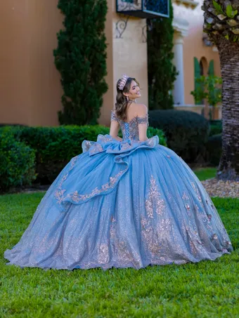Quinceanera Collection by House of Wu 26145 #3 backface vertical thumbnail