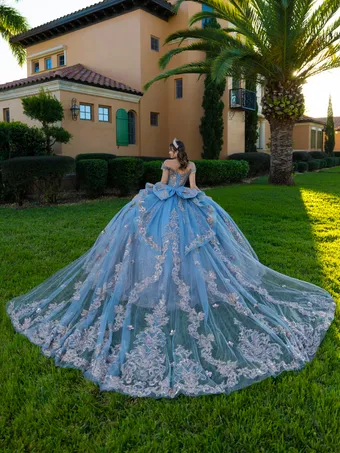 Quinceanera Collection by House of Wu 26145 #2 backface vertical thumbnail