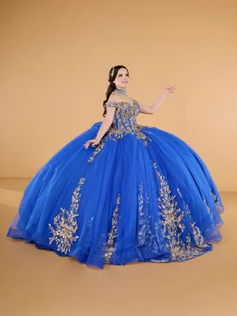 Quinceanera Collection by House of Wu 26146 #0 default frontface vertical thumbnail