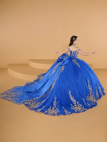 Quinceanera Collection by House of Wu 26146 #3 default backface vertical thumbnail