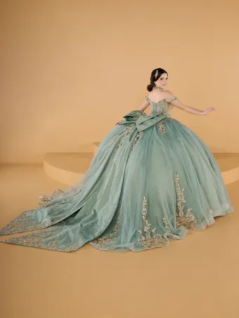 Quinceanera Collection by House of Wu 26146 #2 backface vertical thumbnail