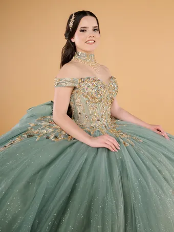 Quinceanera Collection by House of Wu 26146 #4 frontface vertical cropped thumbnail
