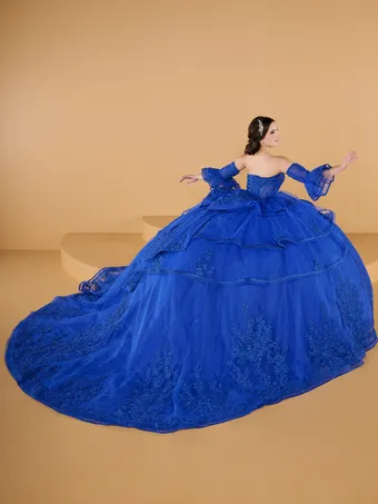 Quinceanera Collection by House of Wu 26149 #2 backface vertical thumbnail