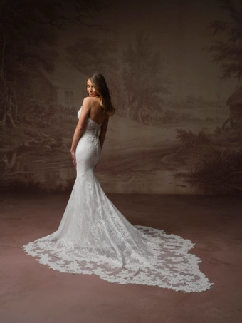 Maggie Sottero Collette #6 backface vertical thumbnail