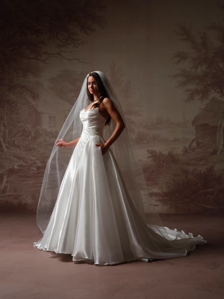 Maggie Sottero Style #F6MS061A01 #1 frontface vertical picture
