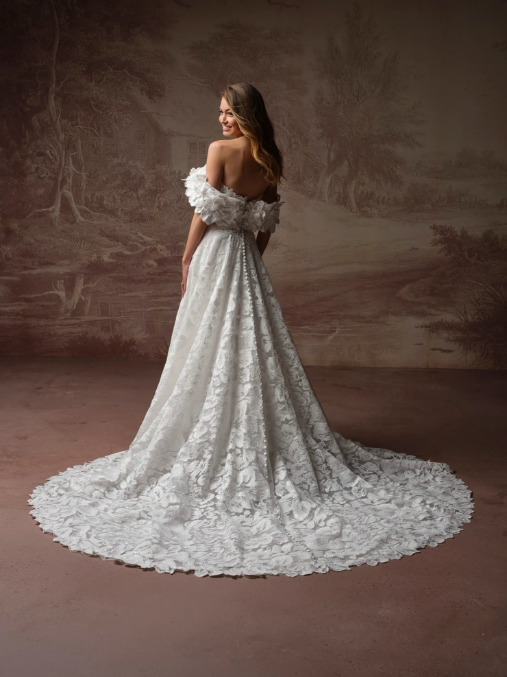 Sottero and Midgley Backface Thumbnail Image