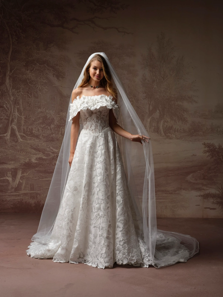 Sottero and Midgley Merrigan F6SK053A01 #1 frontface vertical picture