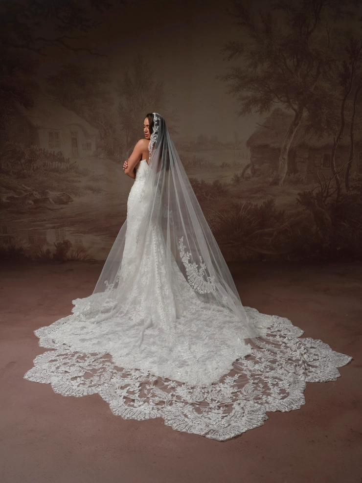 Sottero and Midgley Eirawen F6SK142A01