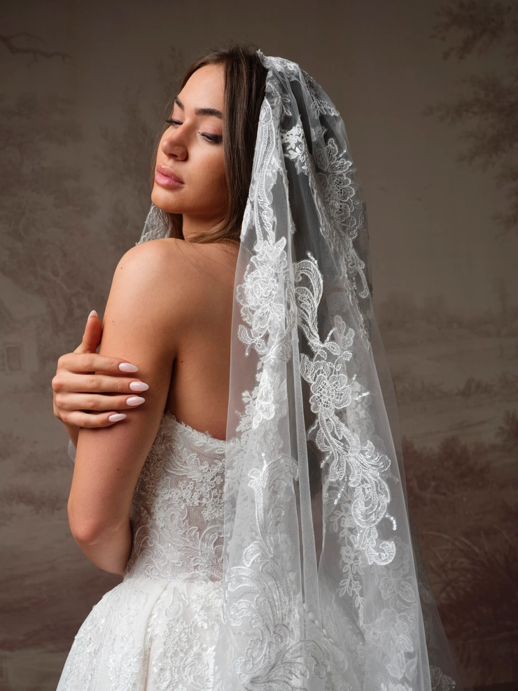 Sottero and Midgley Style #F6SZ066A01 #20 backface vertical cropped picture