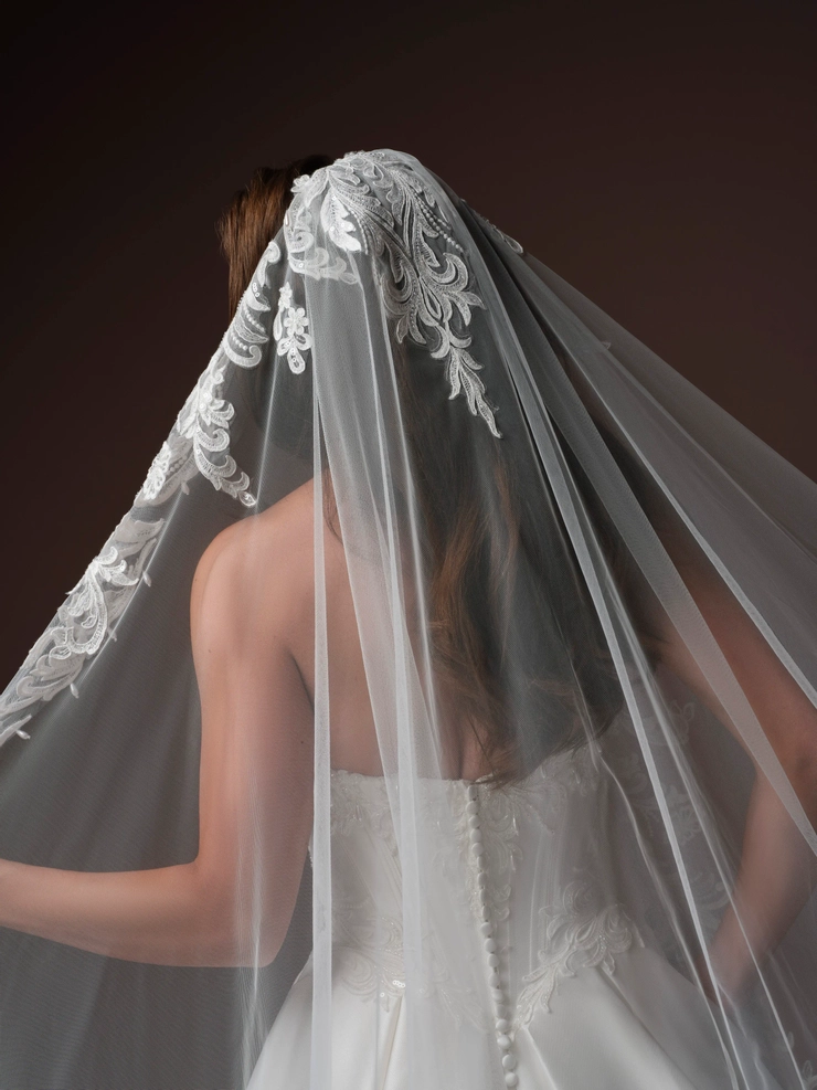 Sottero and Midgley Style #F6SZ070A01 #24 backface vertical cropped picture