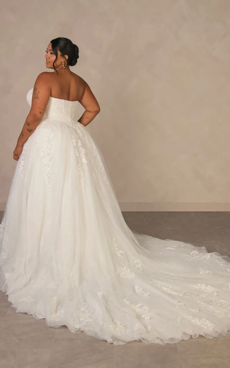 Essense of Australia Plus Size Every Body Every Bride Fall 2026 Backface Thumbnail Image