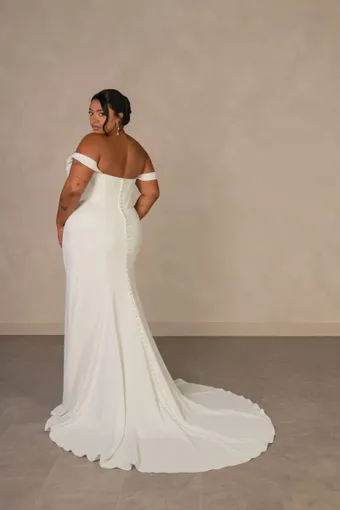 Essense of Australia Plus Size Style NO. D4563PS #4 backface vertical thumbnail
