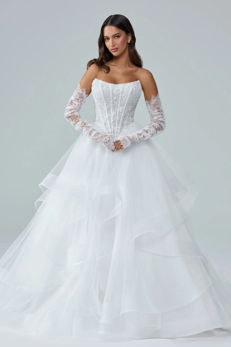 Sophia Tolli Y3242SL