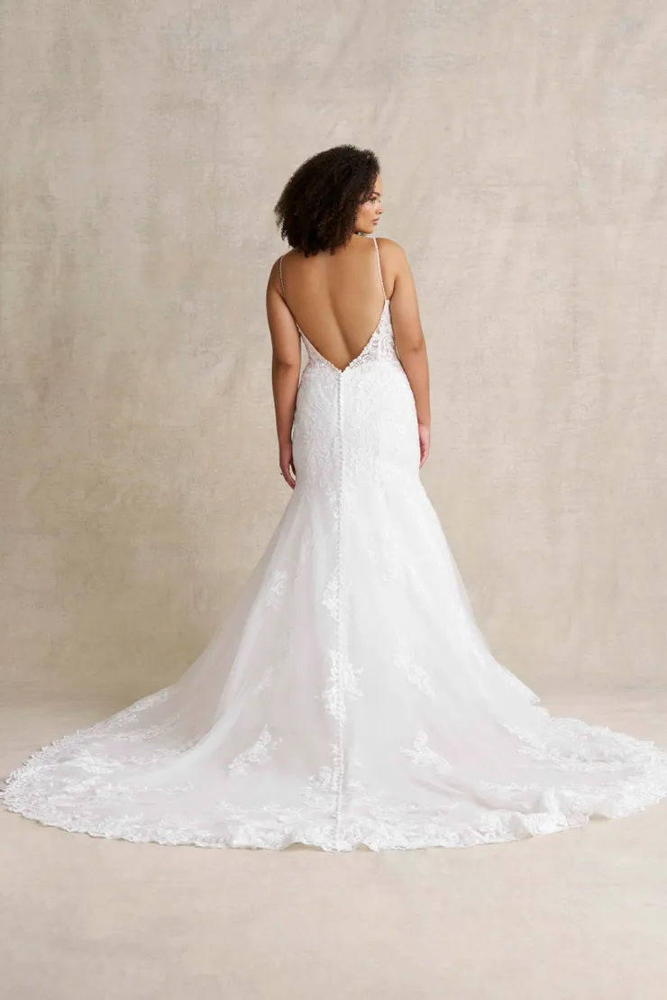 Allure  A1475