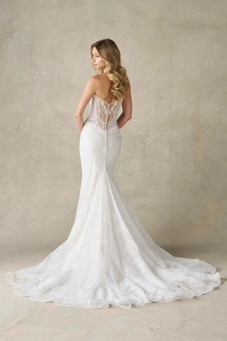 Allure  A1481