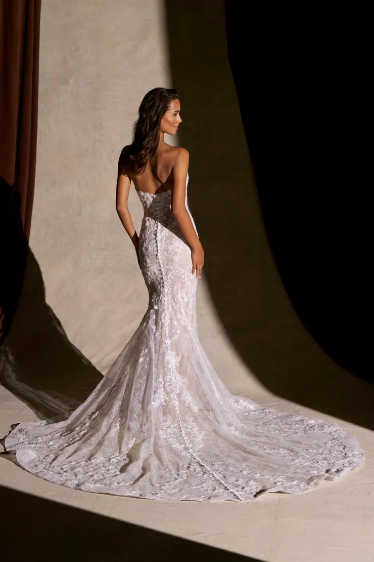 Allure Couture Backface Thumbnail Image