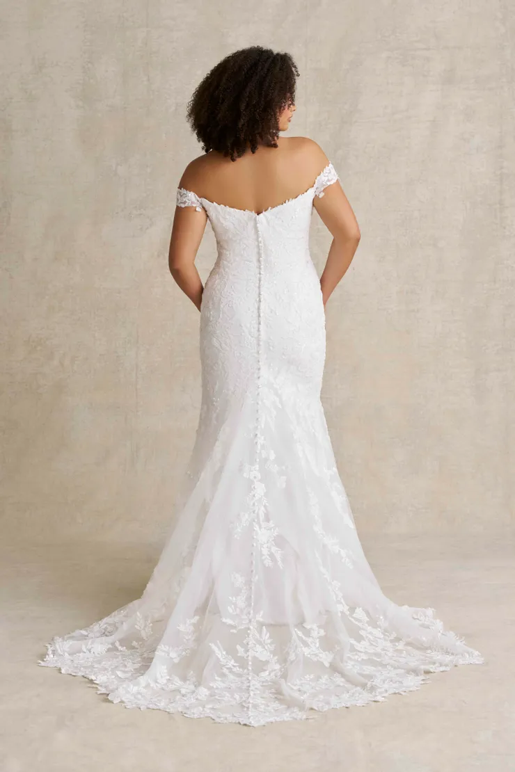 Allure Romance Backface Thumbnail Image