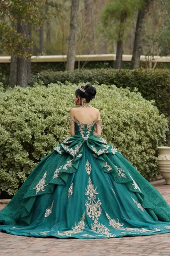 AmaBella Quinceanera Q1100 #3 backface vertical thumbnail