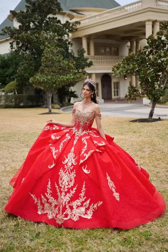AmaBella Quinceanera Q1100 #1 frontface vertical thumbnail