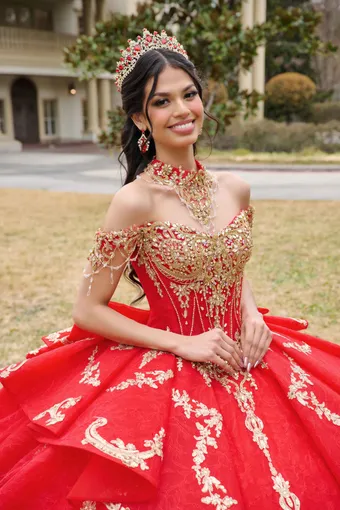 AmaBella Quinceanera Q1100 #8 frontface vertical cropped thumbnail