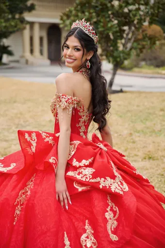 AmaBella Quinceanera Q1100 #10 backface vertical cropped thumbnail