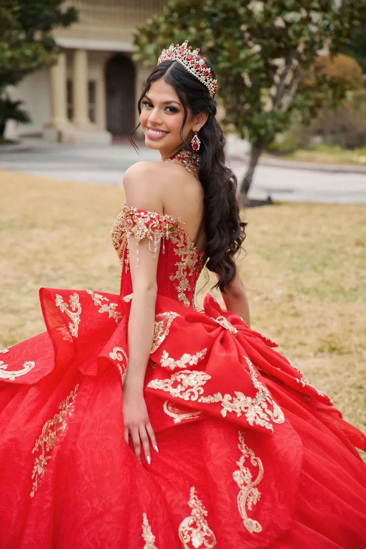 AmaBella Quinceanera Style #Q1100 #11 backface vertical cropped picture