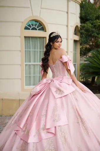 AmaBella Quinceanera Q1101 #15 backface vertical cropped thumbnail