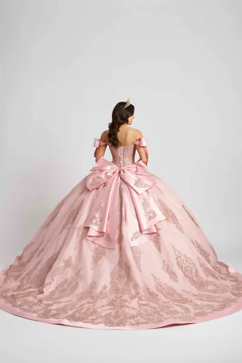 AmaBella Quinceanera Q1101 #5 default backface vertical thumbnail