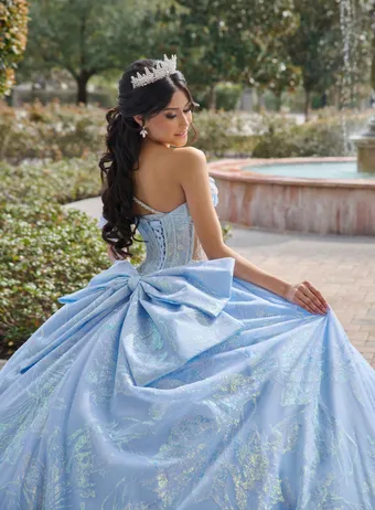 AmaBella Quinceanera Q1102 #15 backface vertical cropped thumbnail