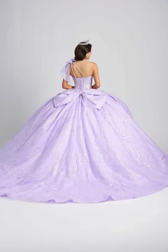 AmaBella Quinceanera Q1102 #5 backface vertical thumbnail