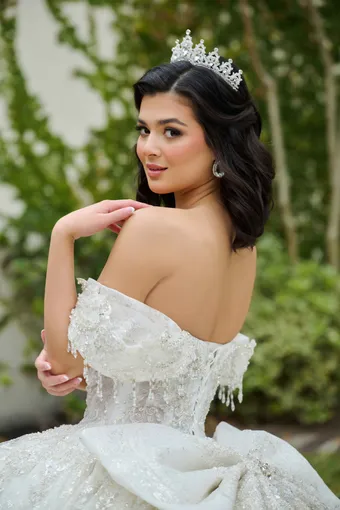 AmaBella Quinceanera Q1104 #14 backface vertical cropped thumbnail